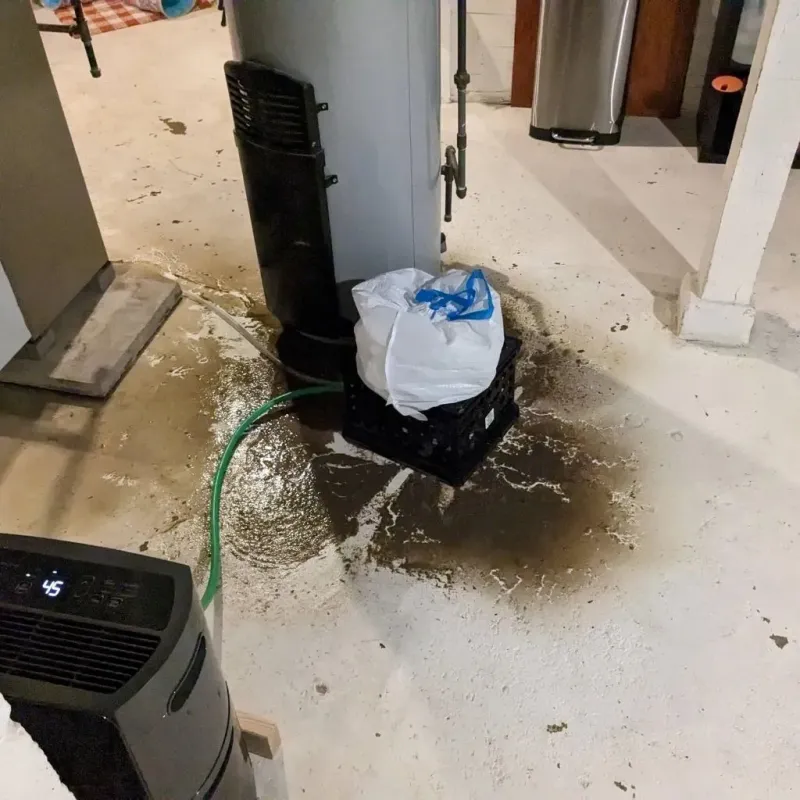 Sewage Backup Cleanup Service in Jourdanton, TX